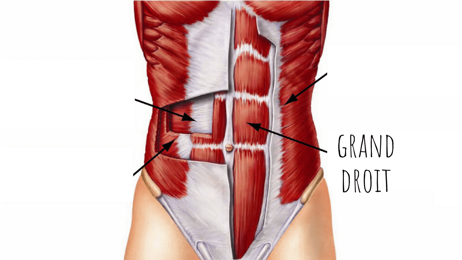 Quel muscle renforcer pour avoir un ventre plat